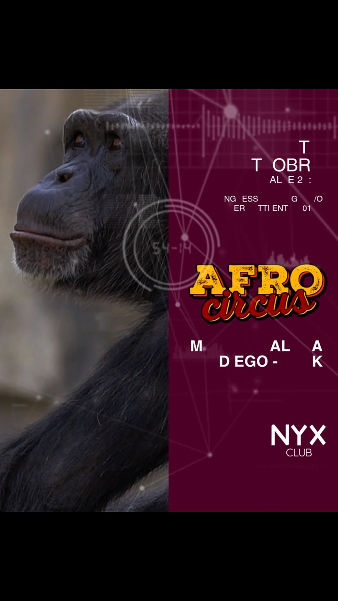 AFROCIRCUS IS BACK!